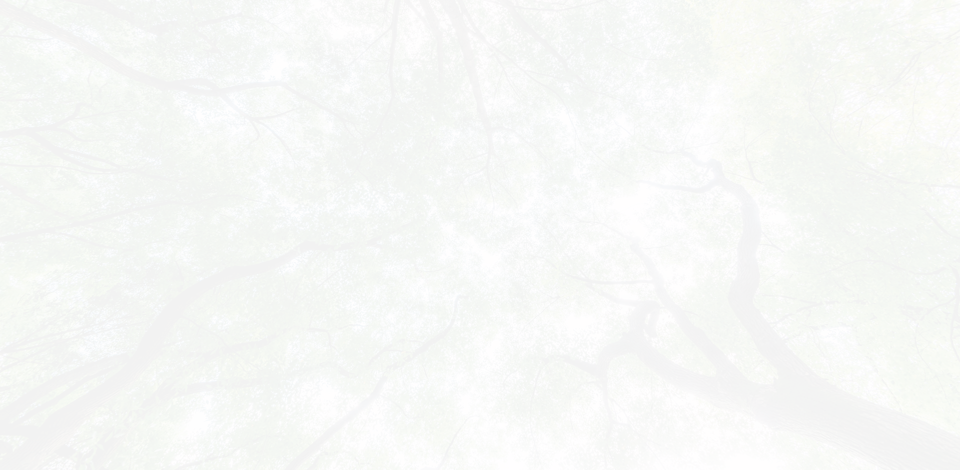 lc_bg_01.png