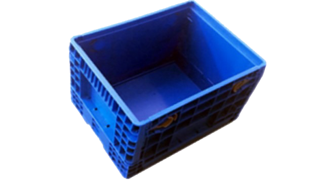 11.png